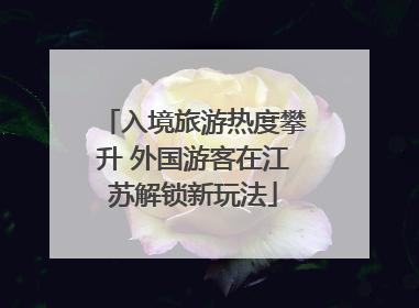 入境旅游热度攀升 外国游客在江苏解锁新玩法