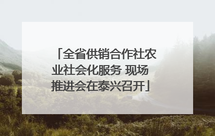 全省供销合作社农业社会化服务 现场推进会在泰兴召开