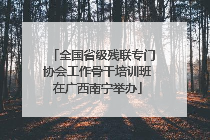 全国省级残联专门协会工作骨干培训班在广西南宁举办