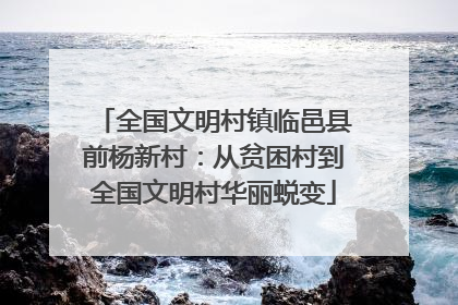 全国文明村镇临邑县前杨新村：从贫困村到全国文明村华丽蜕变