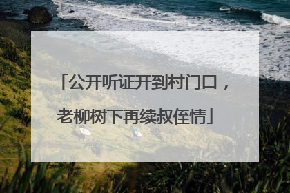 公开听证开到村门口，老柳树下再续叔侄情