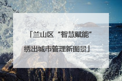 兰山区“智慧赋能”绣出城市管理新图景