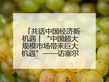 共话中国经济新机遇丨“中国超大规模市场带来巨大机遇”——访塞尔维亚经济部国务秘书尼科利奇