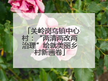 关岭岗乌镇中心村：“两清两改两治理”绘就美丽乡村新画卷