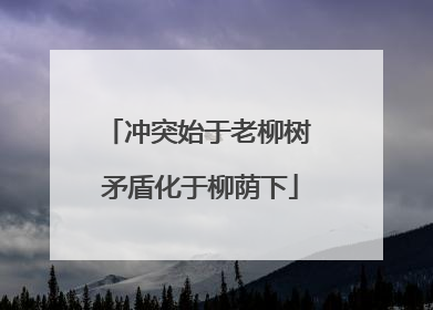 冲突始于老柳树 矛盾化于柳荫下