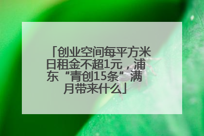 创业空间每平方米日租金不超1元，浦东“青创15条”满月带来什么