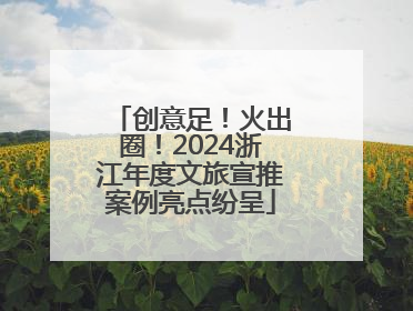 创意足！火出圈！2024浙江年度文旅宣推案例亮点纷呈