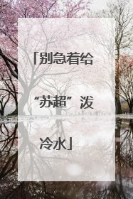 别急着给“苏超”泼冷水