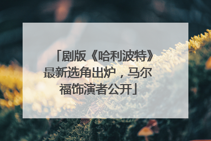 剧版《哈利波特》最新选角出炉，马尔福饰演者公开