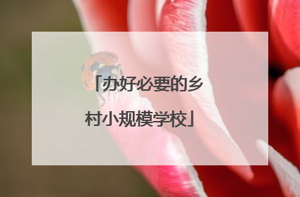 办好必要的乡村小规模学校
