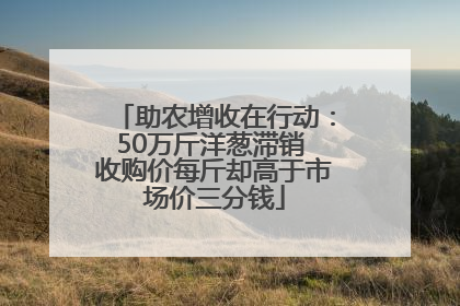助农增收在行动：50万斤洋葱滞销 收购价每斤却高于市场价三分钱