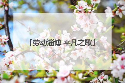 劳动淄博 平凡之歌