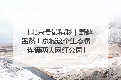 北京号最精彩｜野趣盎然！京城这个生态桥连通两大网红公园