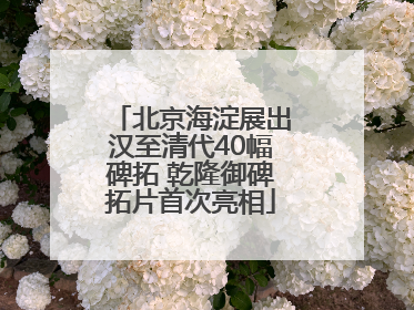 北京海淀展出汉至清代40幅碑拓 乾隆御碑拓片首次亮相