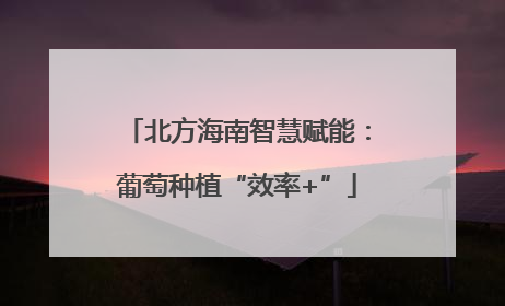 北方海南智慧赋能：葡萄种植“效率+”