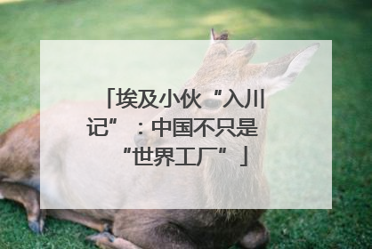 埃及小伙“入川记”：中国不只是“世界工厂”