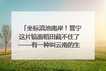 坐标滇池南岸！晋宁这片镜面稻田藏不住了——有一种叫云南的生活之365天