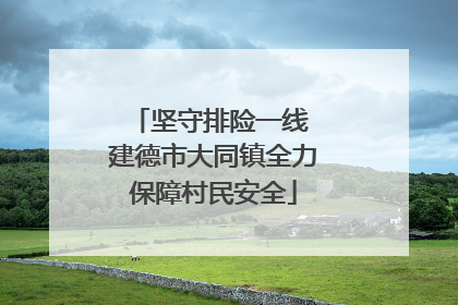 坚守排险一线 建德市大同镇全力保障村民安全