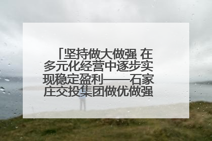 坚持做大做强 在多元化经营中逐步实现稳定盈利——石家庄交投集团做优做强典型报道之三