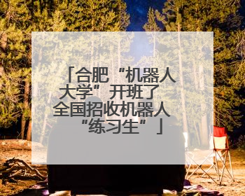 合肥“机器人大学”开班了 全国招收机器人“练习生”