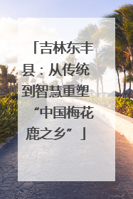 吉林东丰县：从传统到智慧重塑“中国梅花鹿之乡”