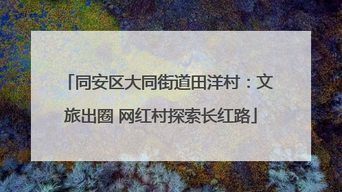 同安区大同街道田洋村：文旅出圈 网红村探索长红路