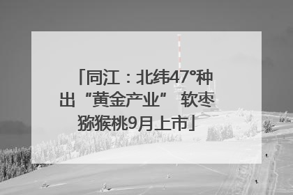 同江：北纬47°种出“黄金产业” 软枣猕猴桃9月上市