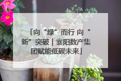 向“绿”而行 向“新”突破｜襄阳数产集团赋能低碳未来