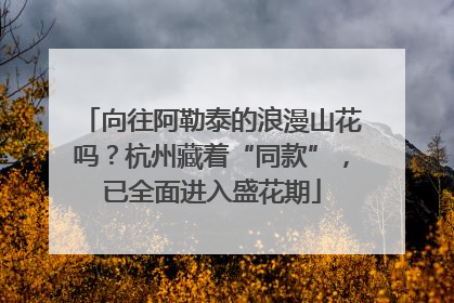 向往阿勒泰的浪漫山花吗？杭州藏着“同款”，已全面进入盛花期