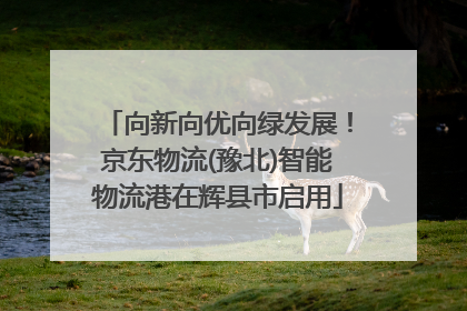 向新向优向绿发展！京东物流(豫北)智能物流港在辉县市启用