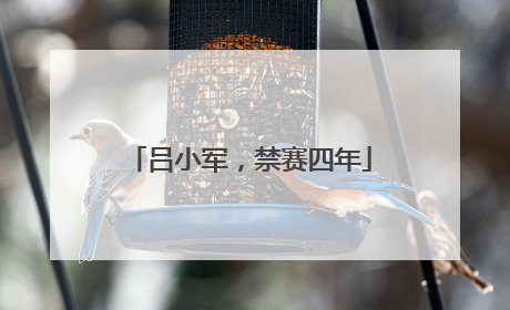 吕小军，禁赛四年
