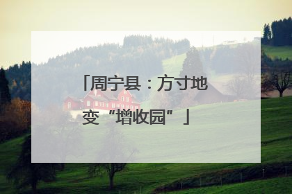 周宁县：方寸地变“增收园”