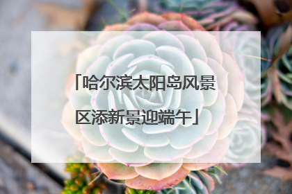 哈尔滨太阳岛风景区添新景迎端午