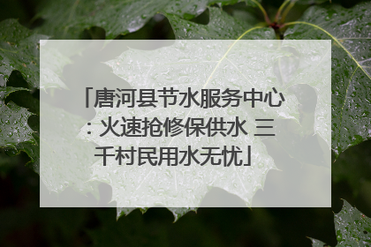 唐河县节水服务中心：火速抢修保供水 三千村民用水无忧