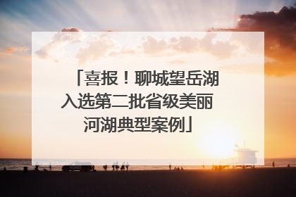 喜报！聊城望岳湖入选第二批省级美丽河湖典型案例