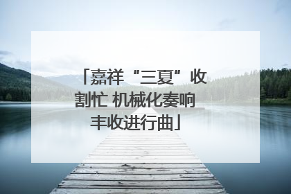 嘉祥“三夏”收割忙 机械化奏响丰收进行曲
