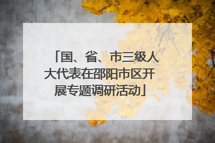 国、省、市三级人大代表在邵阳市区开展专题调研活动