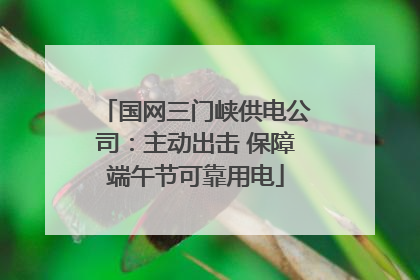国网三门峡供电公司：主动出击 保障端午节可靠用电