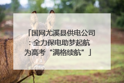 国网尤溪县供电公司：全力保电助梦起航 为高考“满格续航”