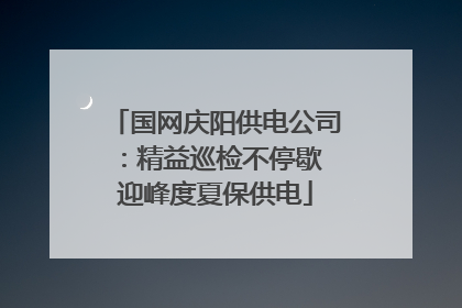 国网庆阳供电公司：精益巡检不停歇 迎峰度夏保供电