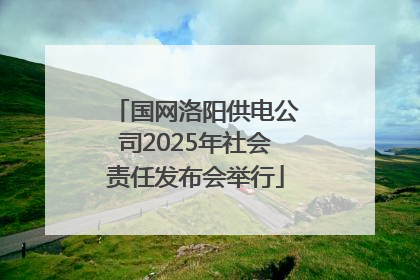 国网洛阳供电公司2025年社会责任发布会举行