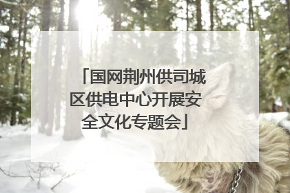 国网荆州供司城区供电中心开展安全文化专题会