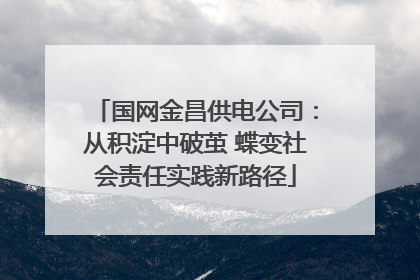 国网金昌供电公司：从积淀中破茧 蝶变社会责任实践新路径
