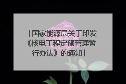 国家能源局关于印发《核电工程定额管理暂行办法》的通知