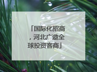 国际化招商，河北广邀全球投资客商