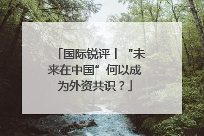 国际锐评丨“未来在中国”何以成为外资共识？