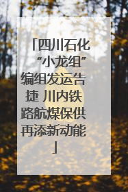 四川石化“小龙组”编组发运告捷 川内铁路航煤保供再添新动能