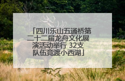 四川乐山五通桥第二十二届龙舟文化展演活动举行 32支队伍竞渡小西湖