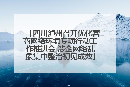 四川泸州召开优化营商网络环境专项行动工作推进会 涉企网络乱象集中整治初见成效