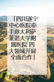 四川遂宁中心医院牵手意大利萨莱诺大学附属医院 四大领域开展全面合作